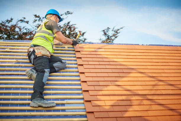 Best Roof Moss and Algae Removal  in Midtown, TN